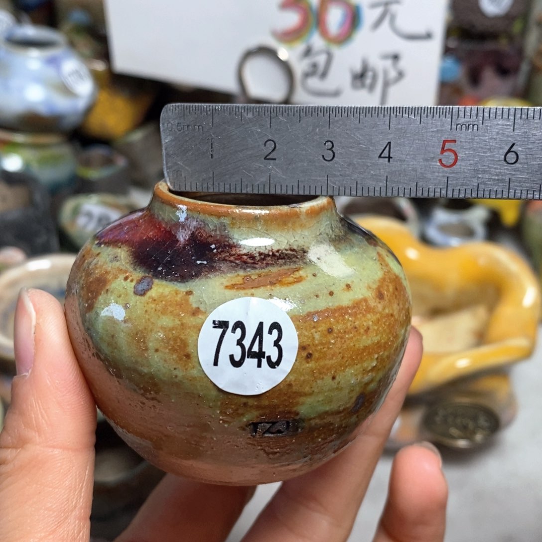 花盆拍5个送一个小礼物