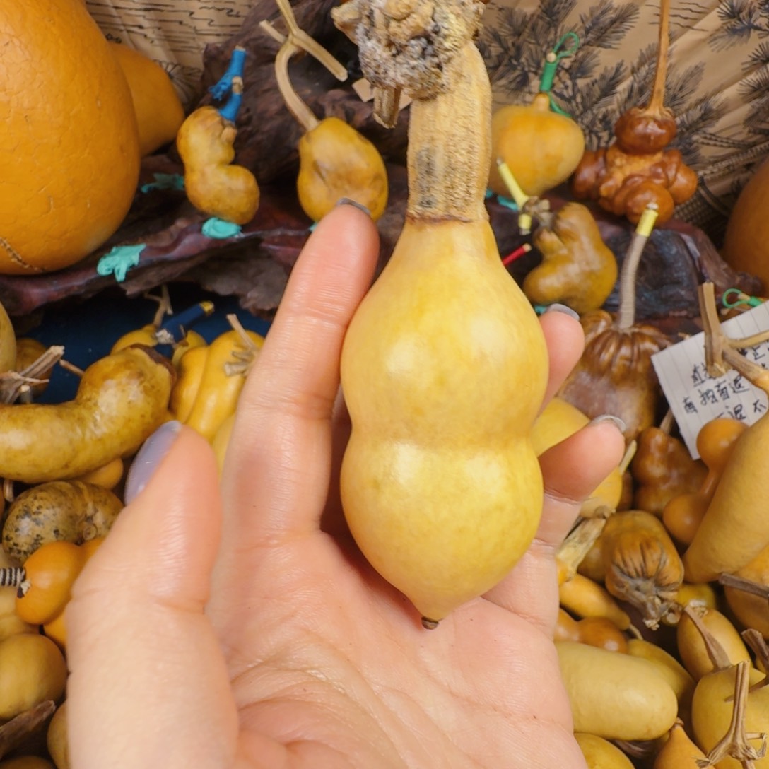 金***中兔兔图图 天。    我想和