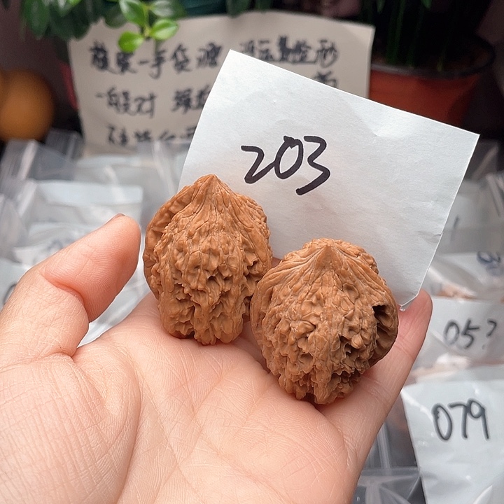 37尺寸练手对大沽石核桃