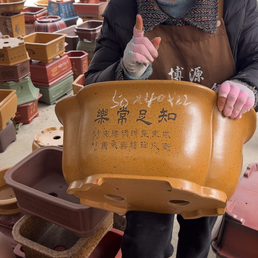 花盆紫砂盆景艺术