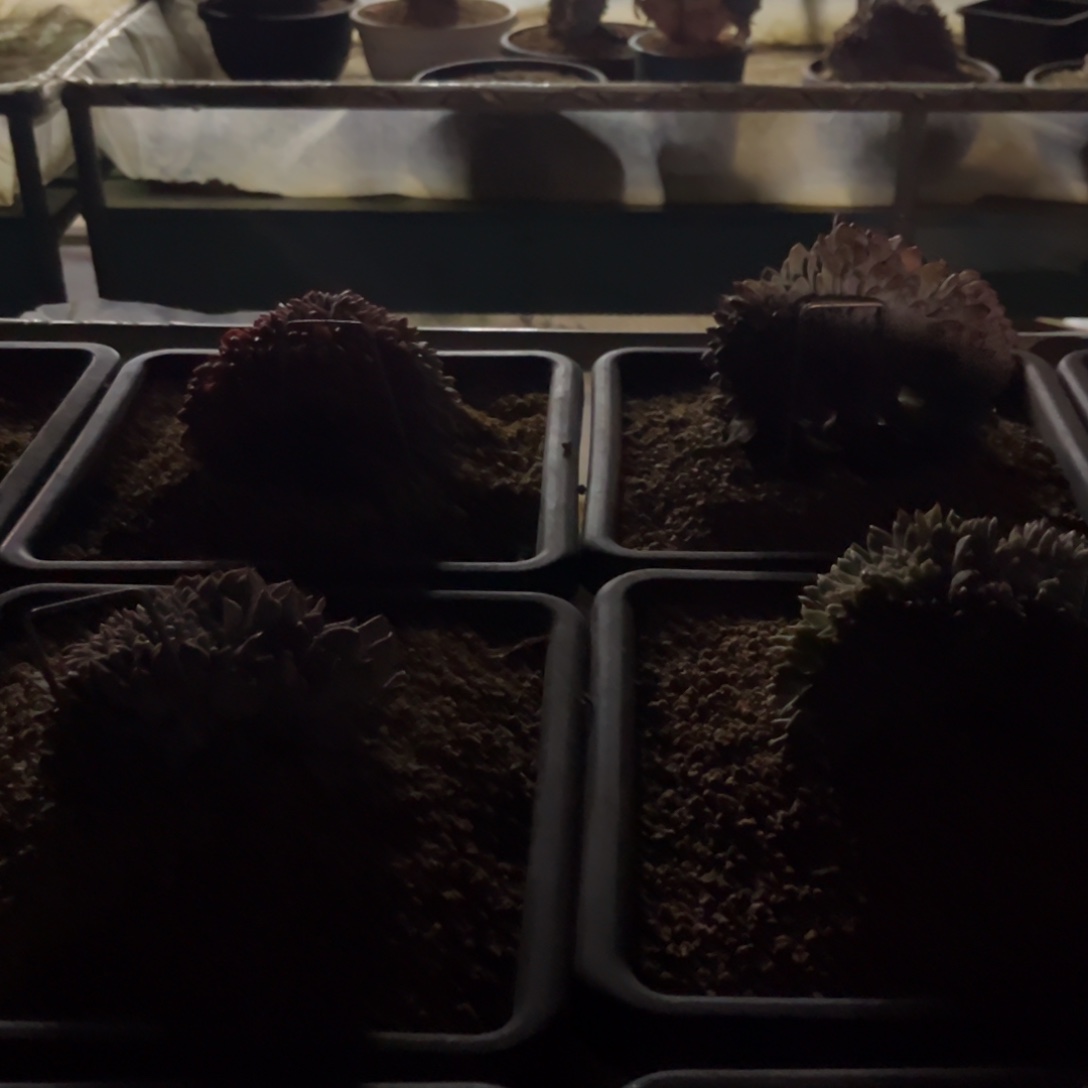 又***子发货链接发货链接111