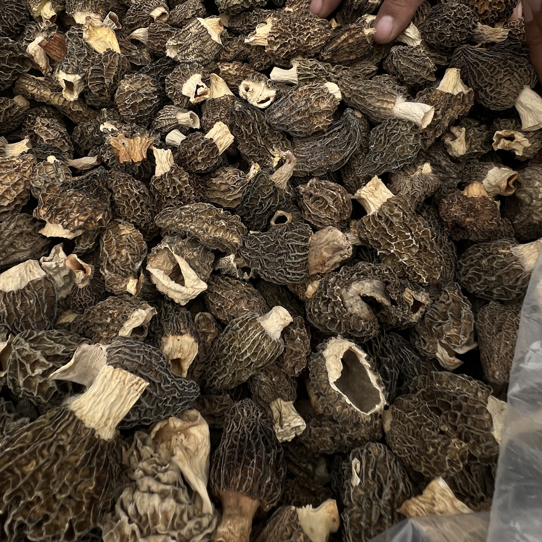 仿野生G10羊肚菌1111