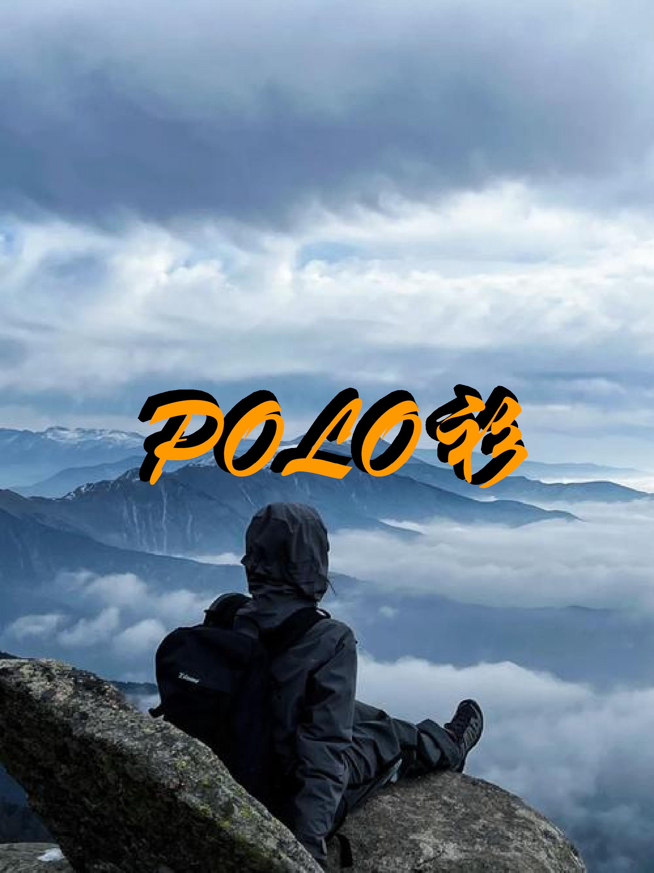 2025商务休闲POLO衫03