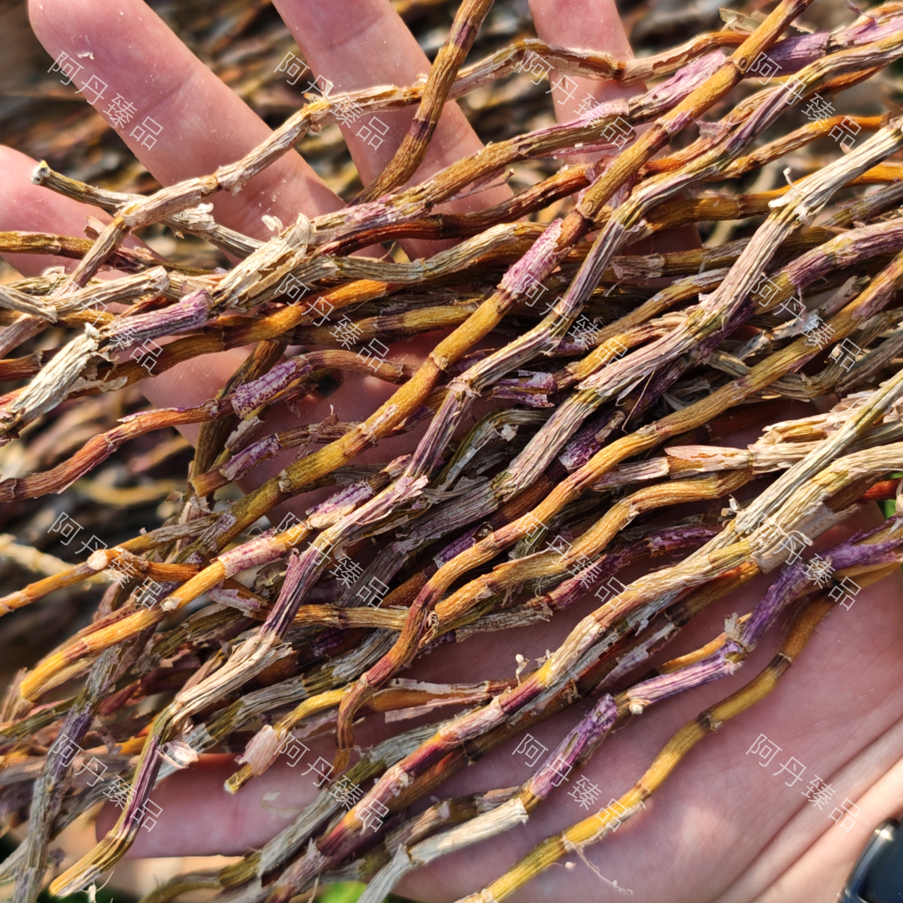 【阿丹臻品】石斛 农家土特产（已开价）