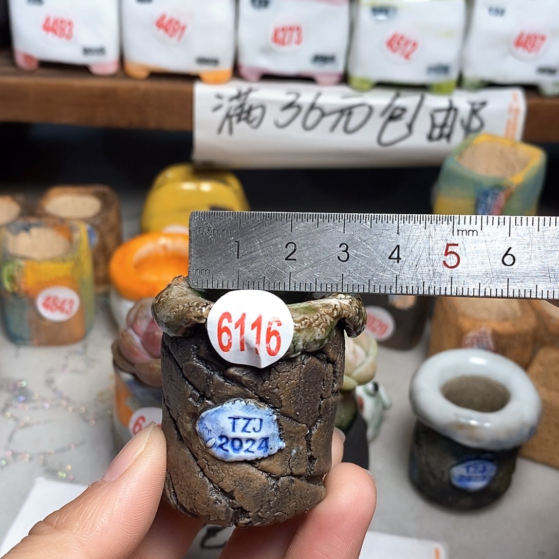 红陶拍5送一个小