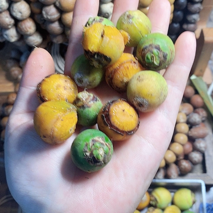 紫金鼠吊坠88888889888888