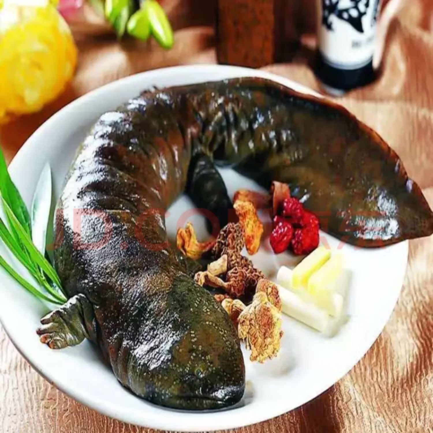 "娃娃鱼批发“人工养殖子二代888-10