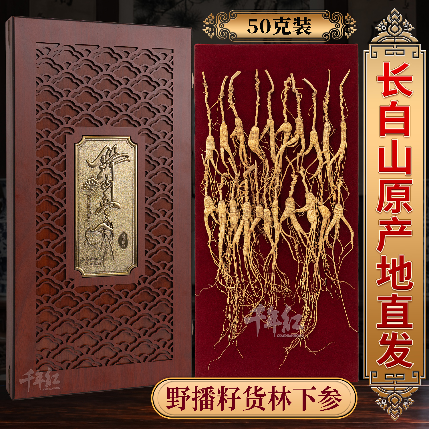 精选高年小野籽儿 长白山林下参 50克 绝无人工干预 长白山野山参