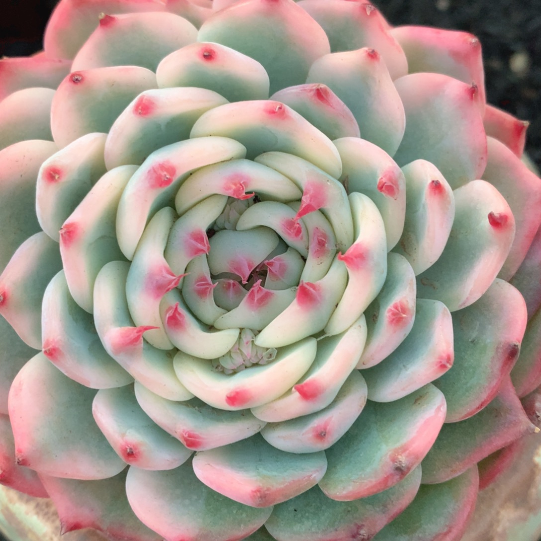 很好尴尬更好家家户户好