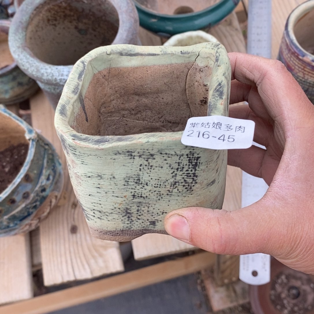 红陶排*45号多肉盆一个呀