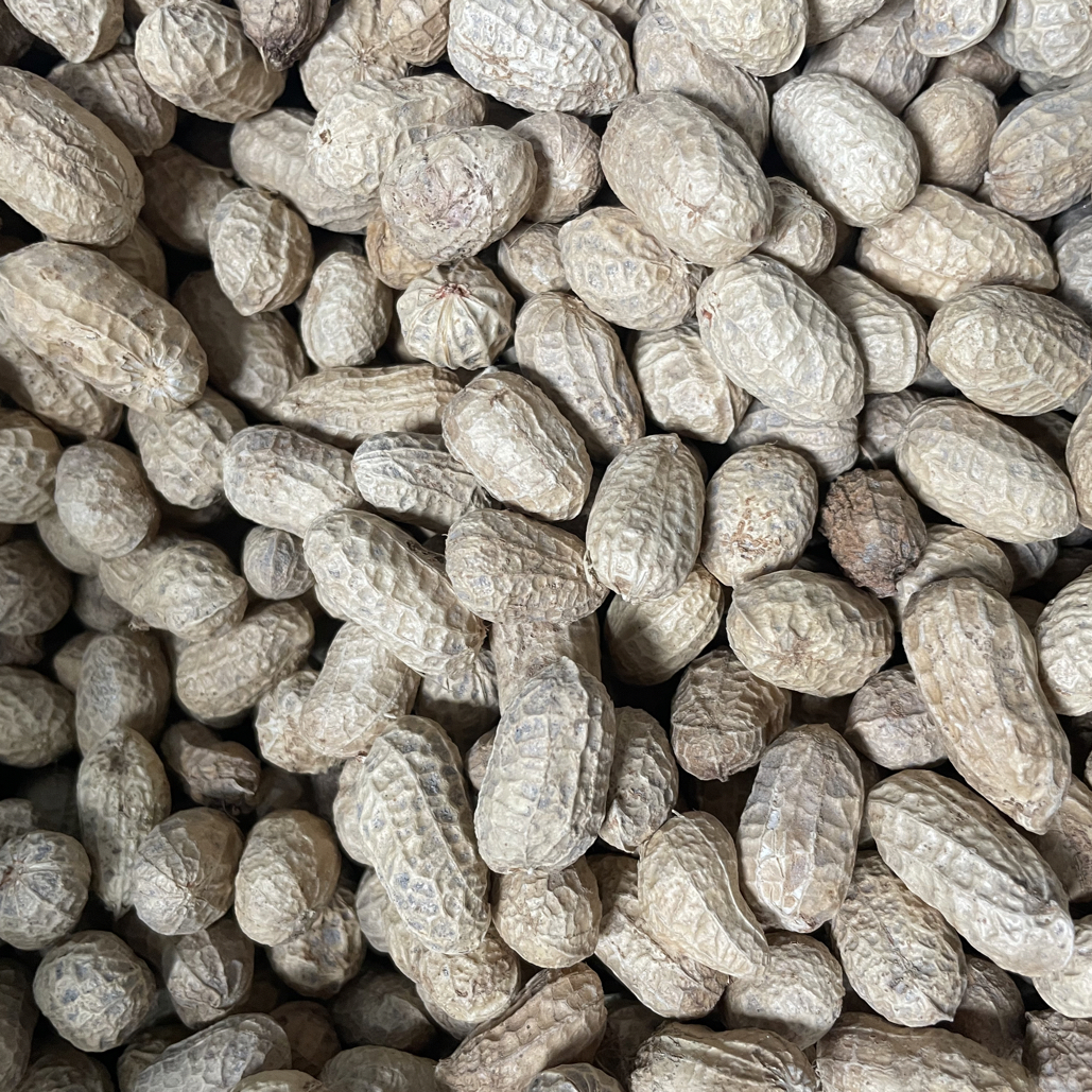 【四元方奇专属】干花生 农家自晒干货