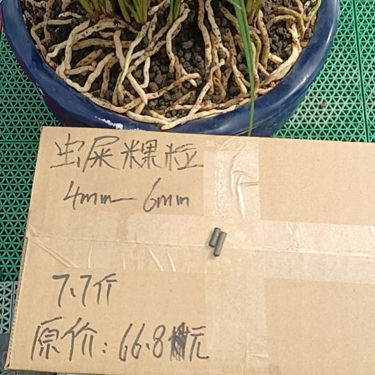 U***h兰菌黑山土虫屎颗粒7.7斤