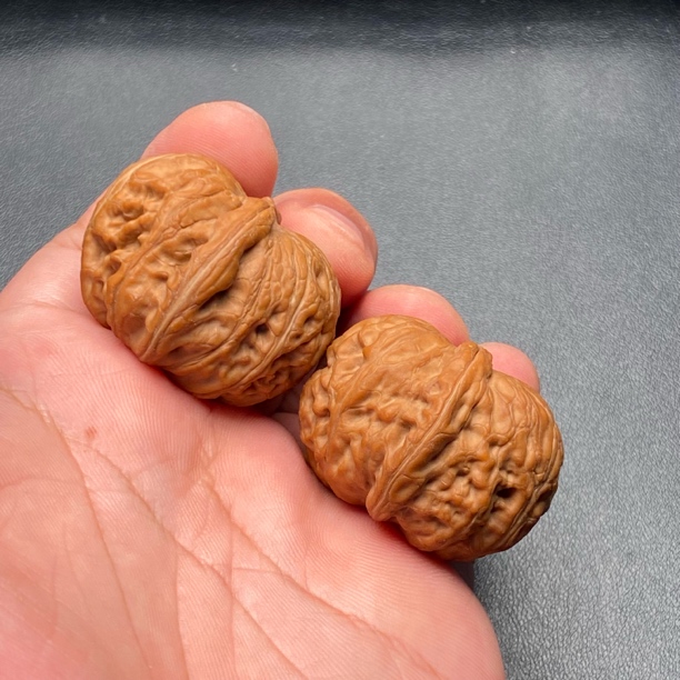 文玩核桃39 37 29全品红皮蓟县元宝