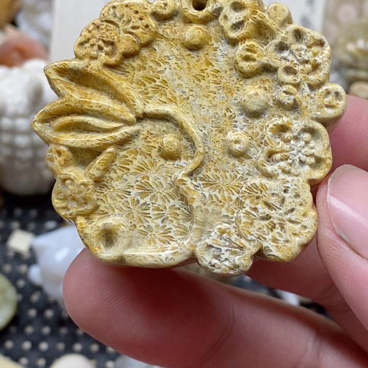 颈饰未镶嵌硅化珊瑚（珊瑚玉）