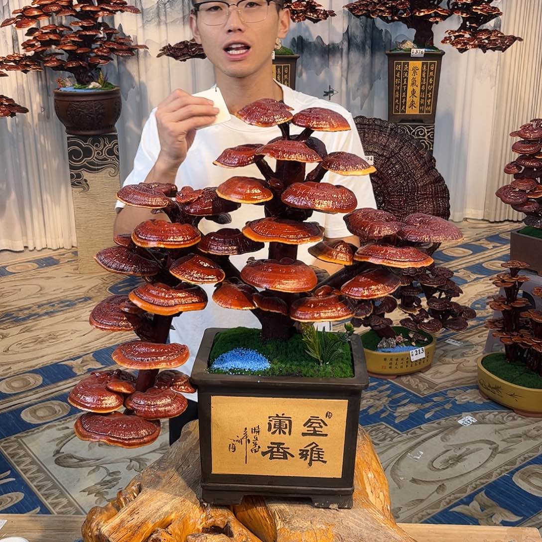 全部花朵08888888888888