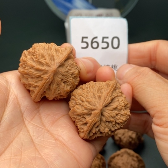 把件文玩核桃38野牛5650