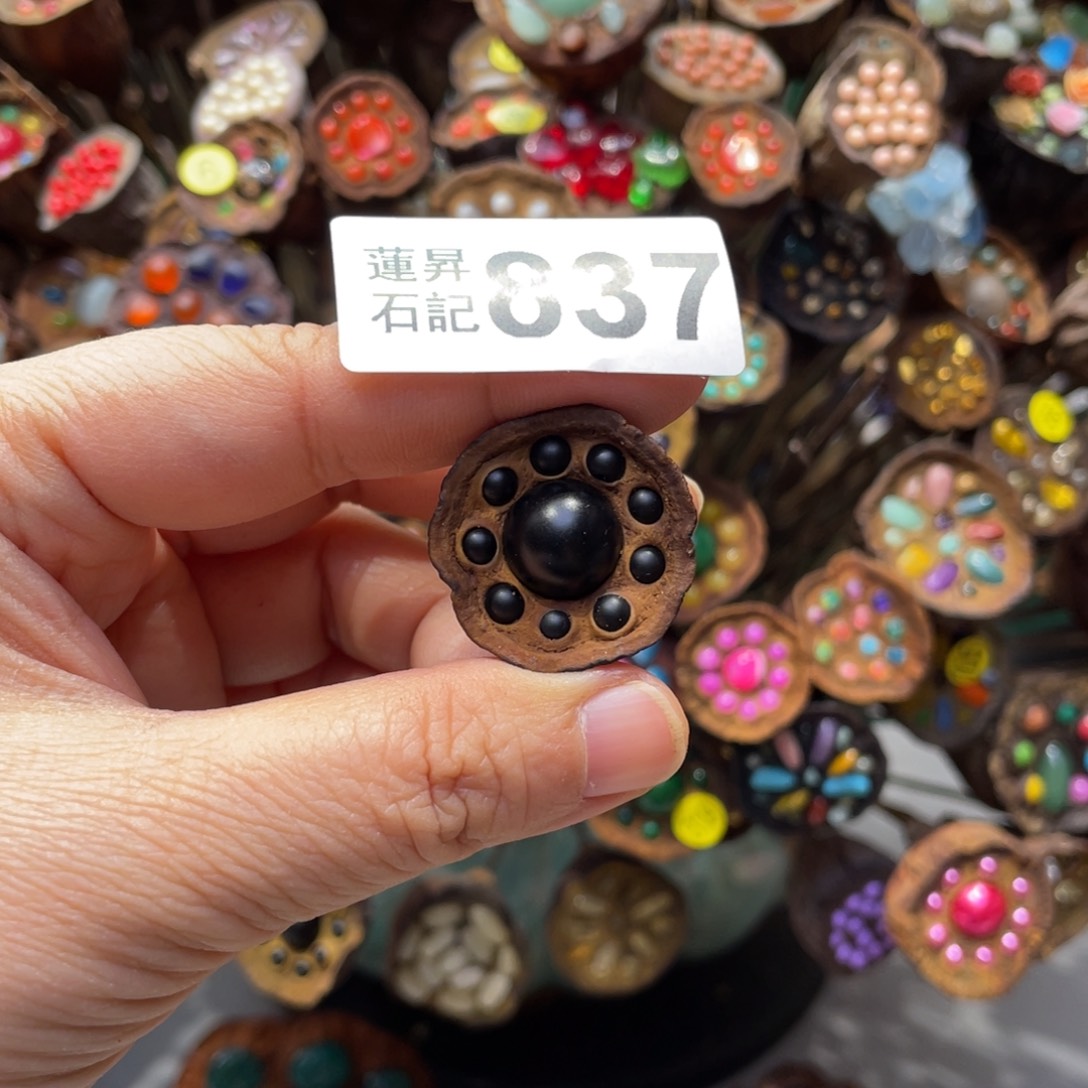 核桃木/黑胡桃（胡桃木）银**浪837