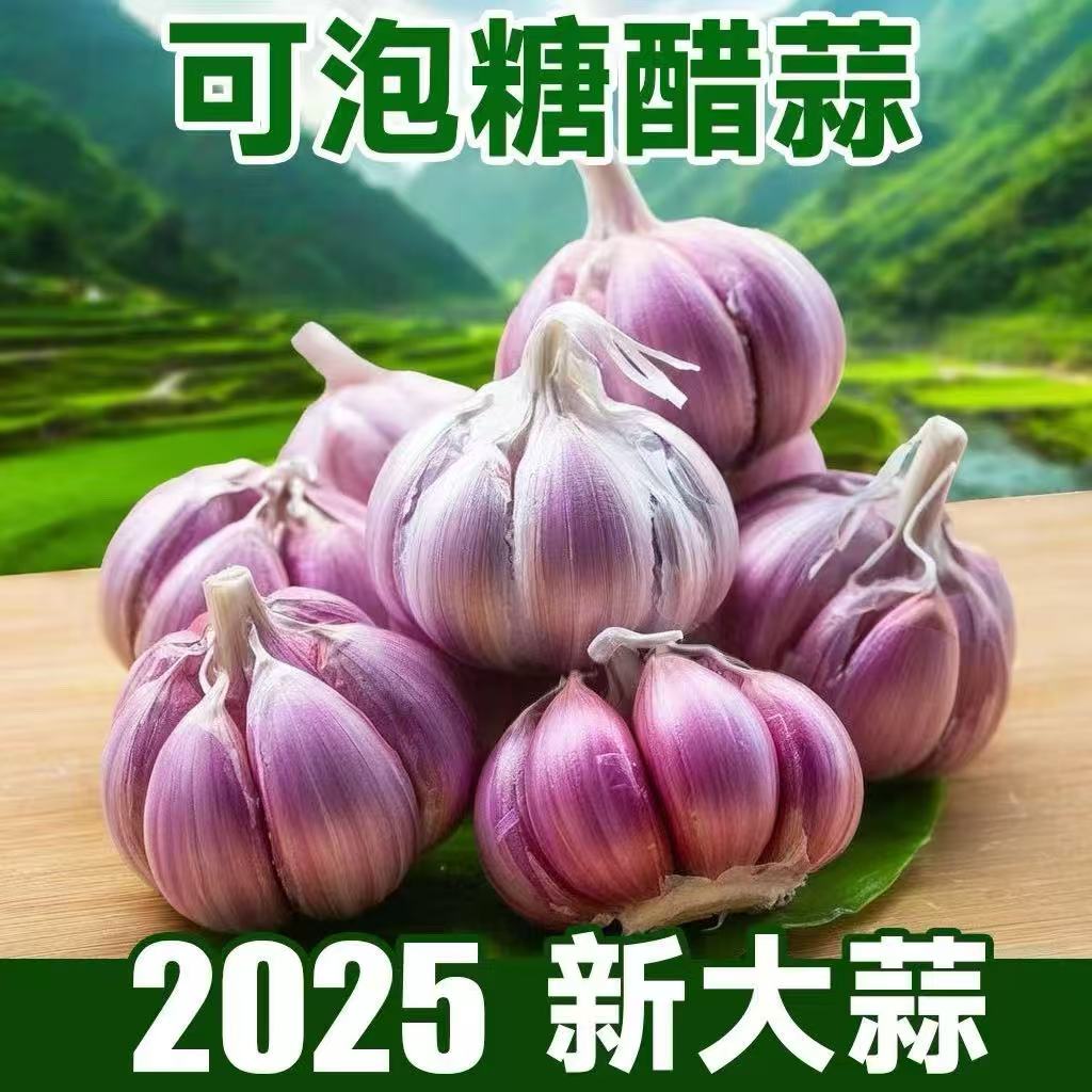 (助农特惠)2025新鲜大蒜大果可做腊八蒜糖醋蒜鲜蒜助农特惠价
