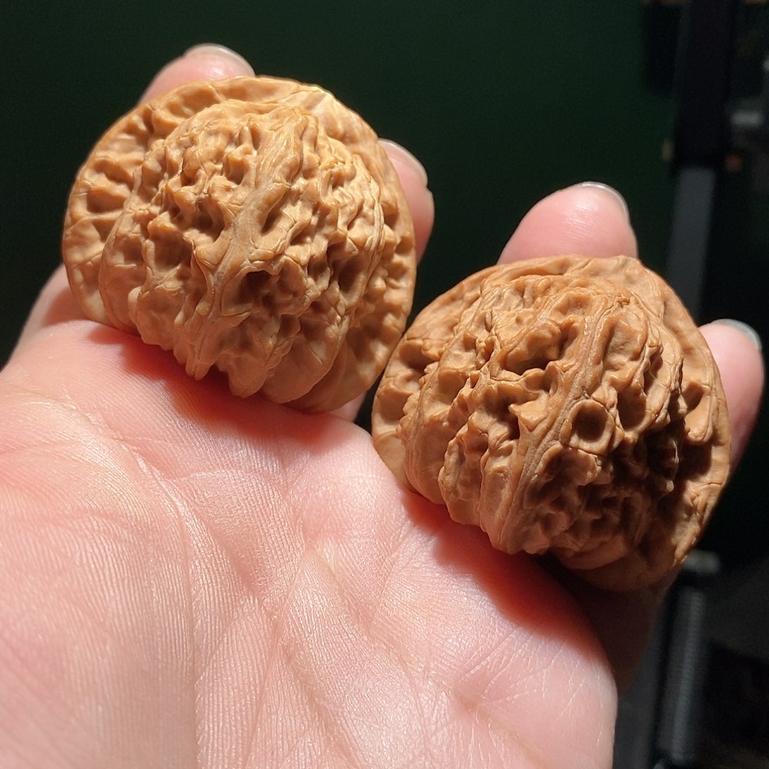 把件文玩核桃44.5三角白全品