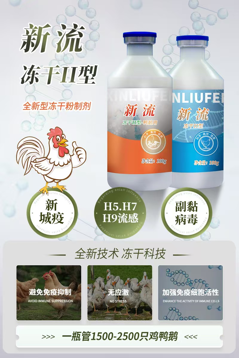 新流冻干粉饮水苗 鸡鸭鹅专用 针对流感新城疫副黏 没有应激