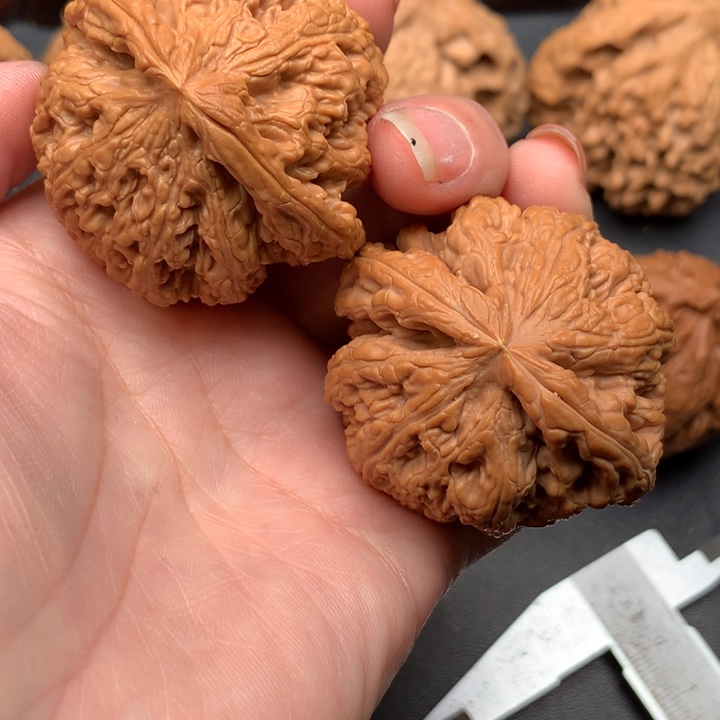 文玩核桃吊坠粗筋