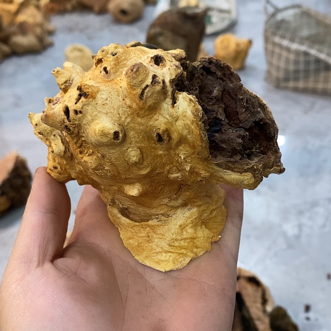 新***业荔枝木荔枝木原料