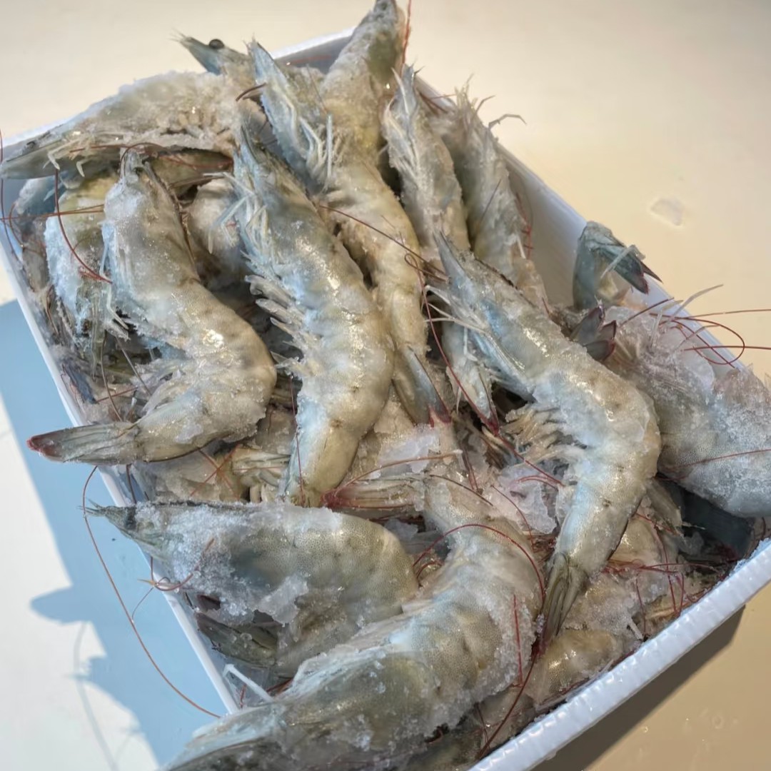 冷冻生带头南美白对虾 2KG158 元