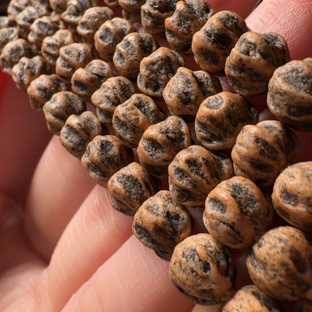 吊坠柏香籽/百香籽