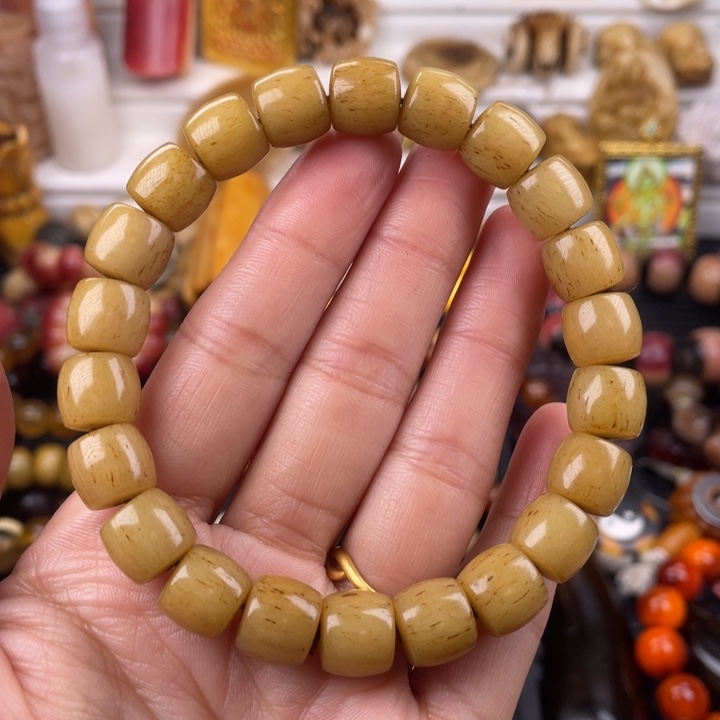 驼骨其他老灵骨直切11