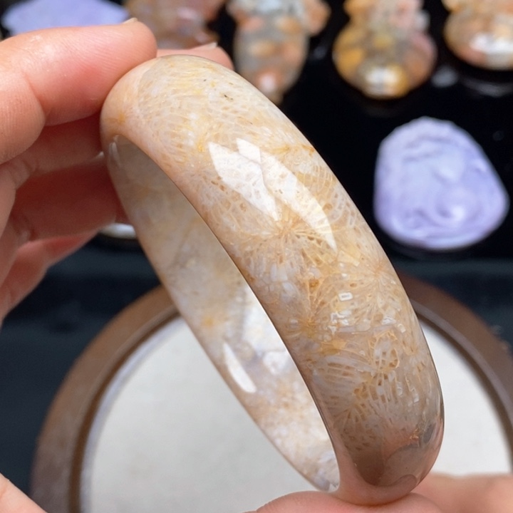 硅化珊瑚（珊瑚玉）手镯未镶嵌61