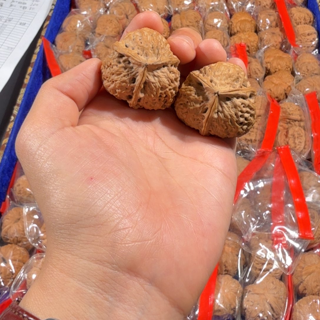 文玩核桃把件419号珊瑚纹三棱