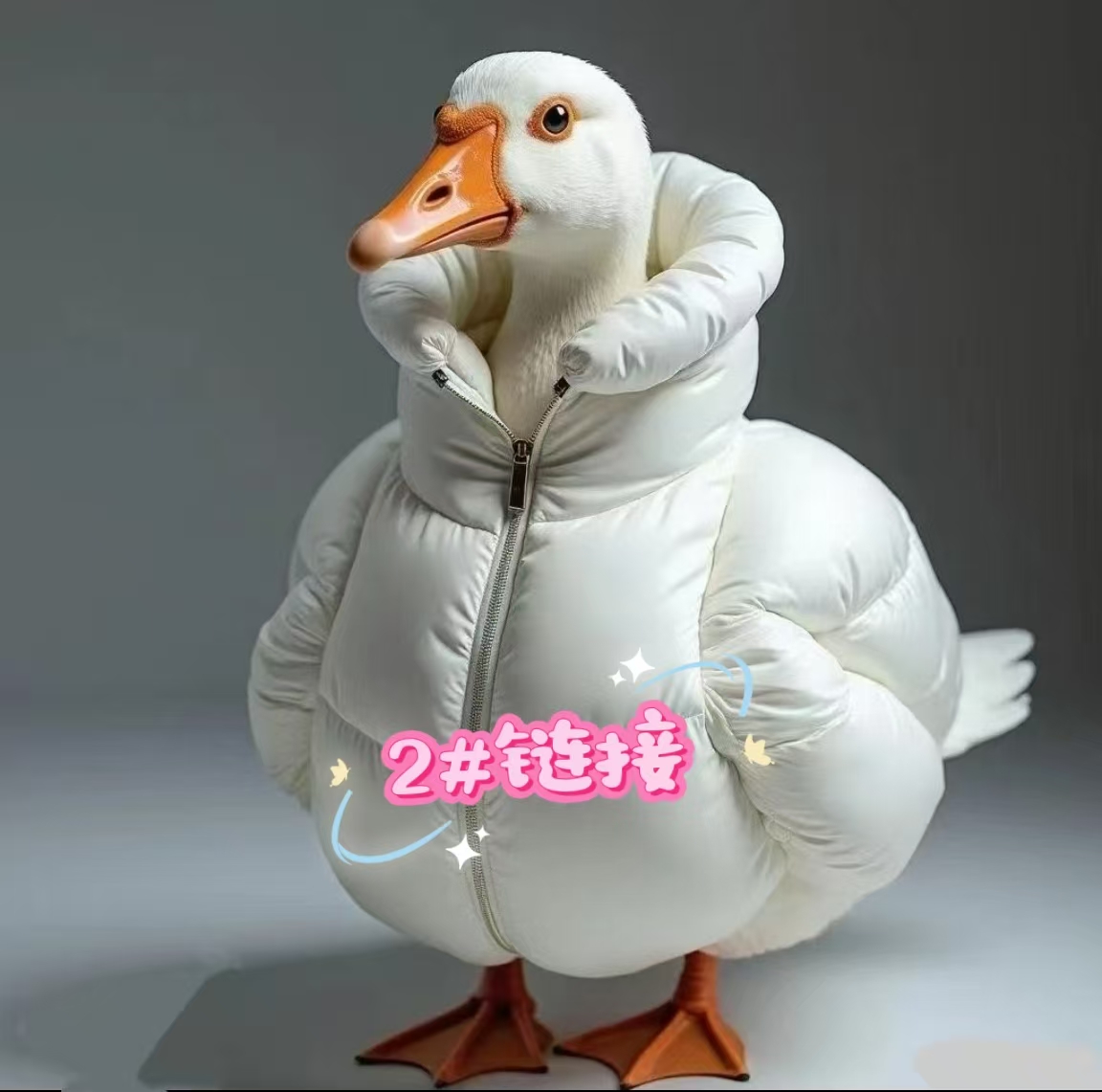 2#【编号200-299】找对应价格下单编号高品质时尚女装