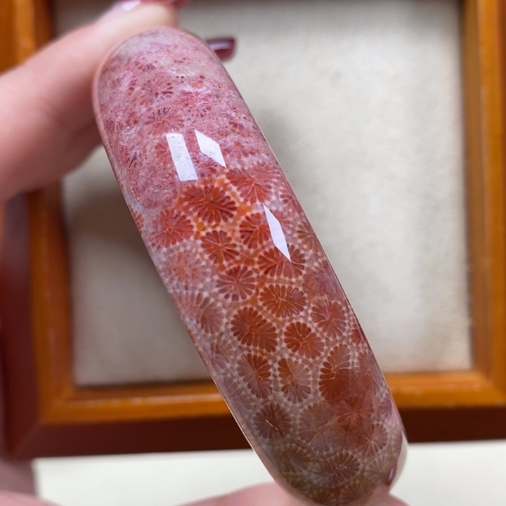 硅化珊瑚（珊瑚玉）手镯未镶嵌56.7