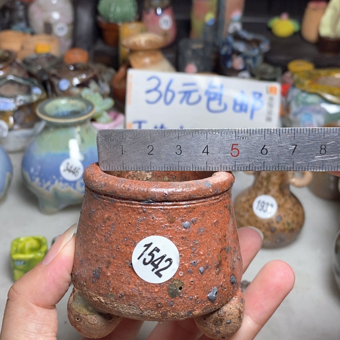 拍3送个9.9，拍5送一同款