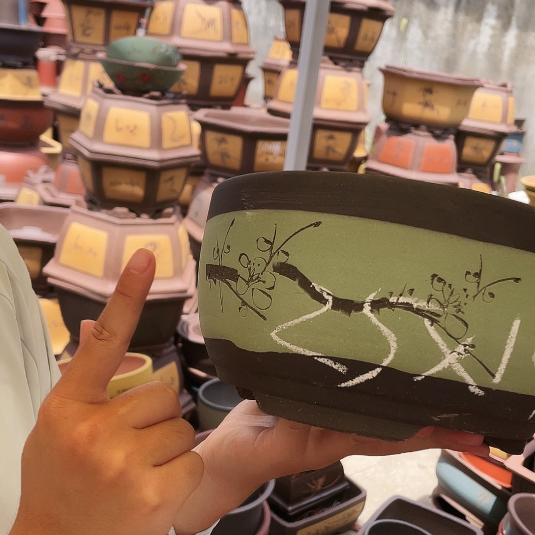 苹果绿萝大花盆花盆花盆