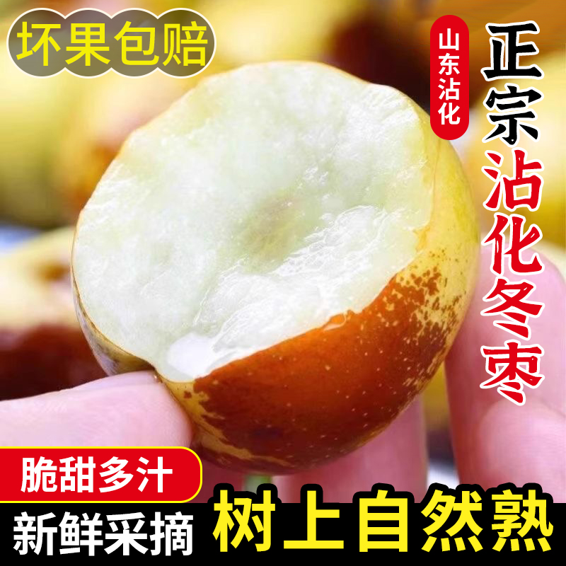 【脆甜多汁】山东沾化鲜冬枣现摘冰糖冬枣脆甜多汁非大荔冰糖冬枣