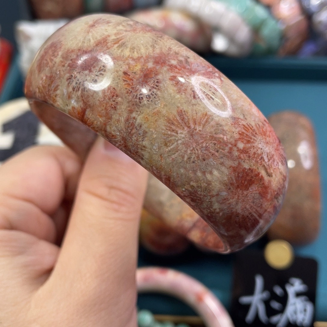 未镶嵌手镯硅化玉