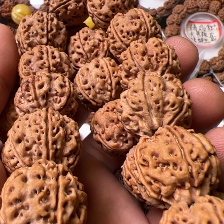 金刚菩提手串站*点23双龙