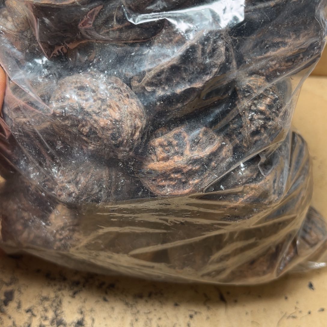 手串文玩核桃，**，核桃49
