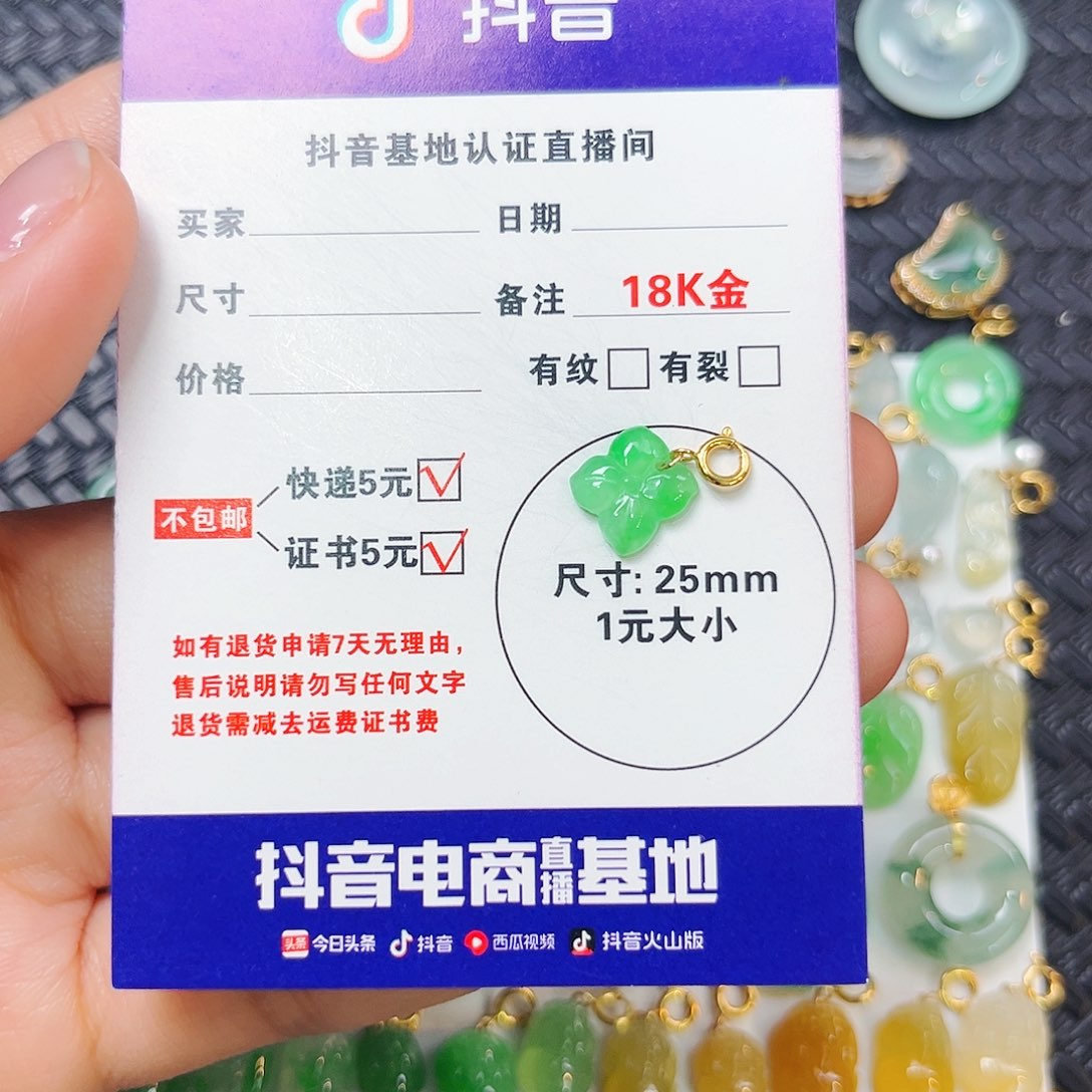 廖****翡翠18K金镶嵌颈饰