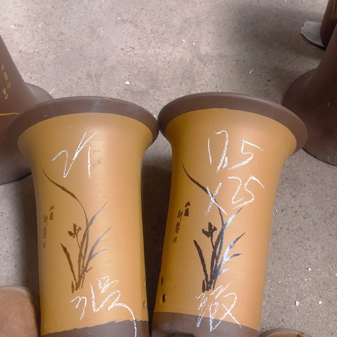 紫砂31……………………………………