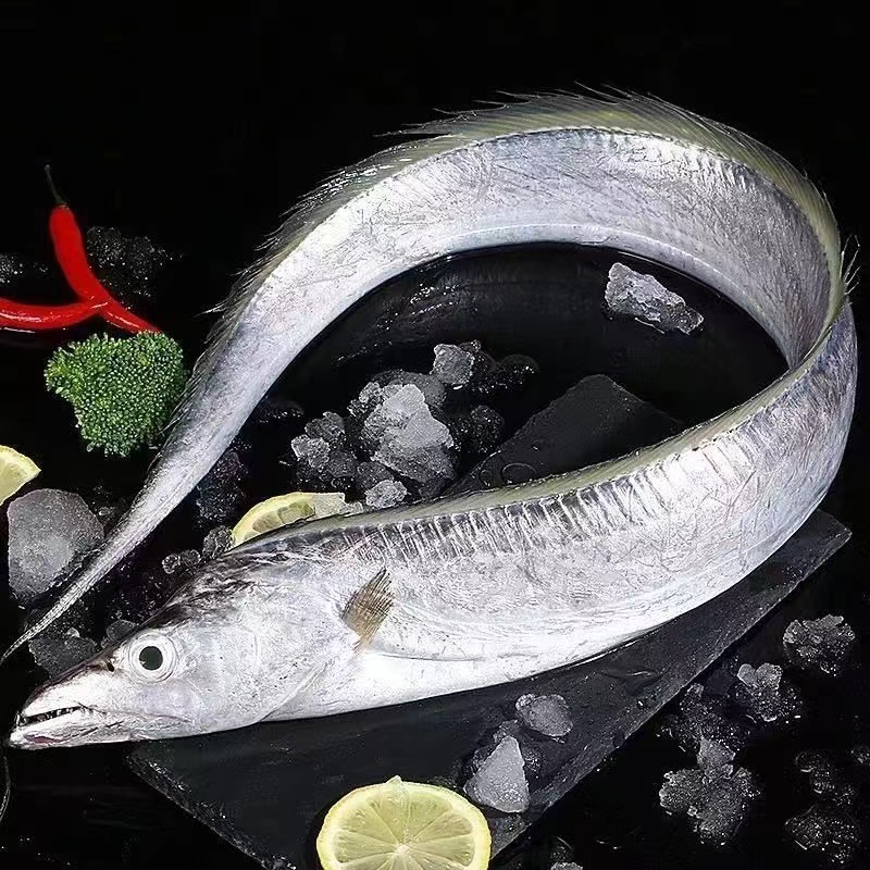 【蔡蔡鲜仓】 特大号野生东海油带鱼 单条1.5斤左右 全国冰鲜发货 