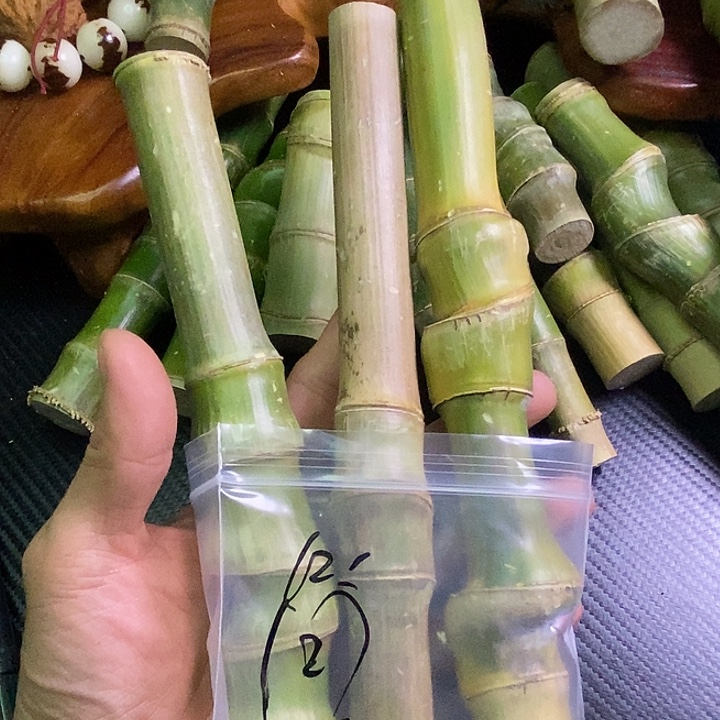 奢***装竹类实心玉竹手把件