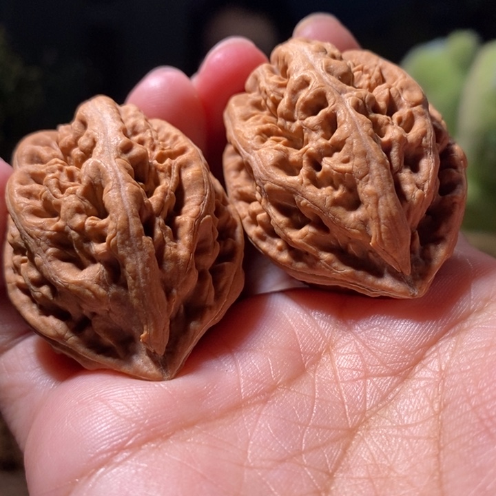 文玩核桃把件东北楸子小路 117