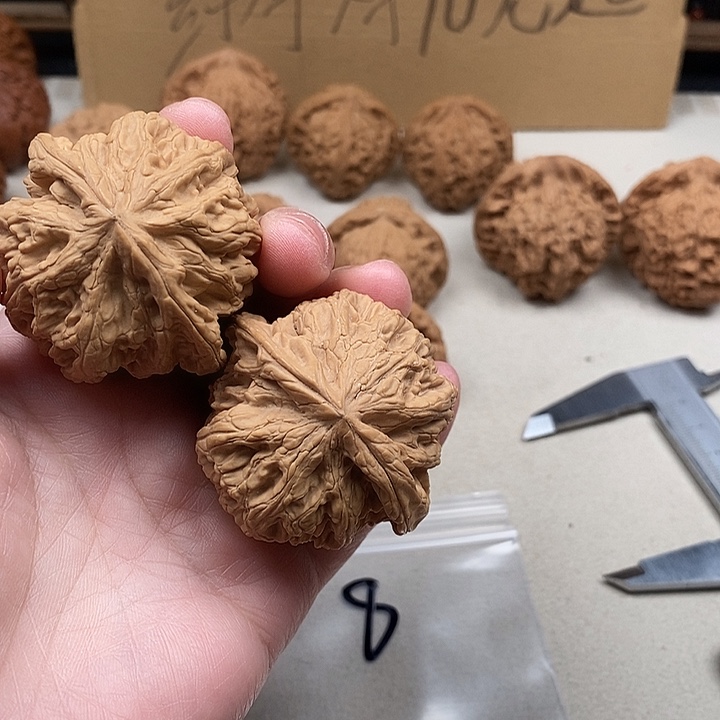 南***红吊坠龙脊菩提8.8.8.8.8:8:8:8: