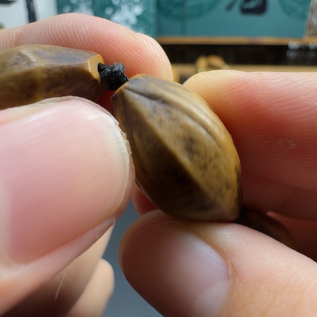 手串/手链橄榄核四川