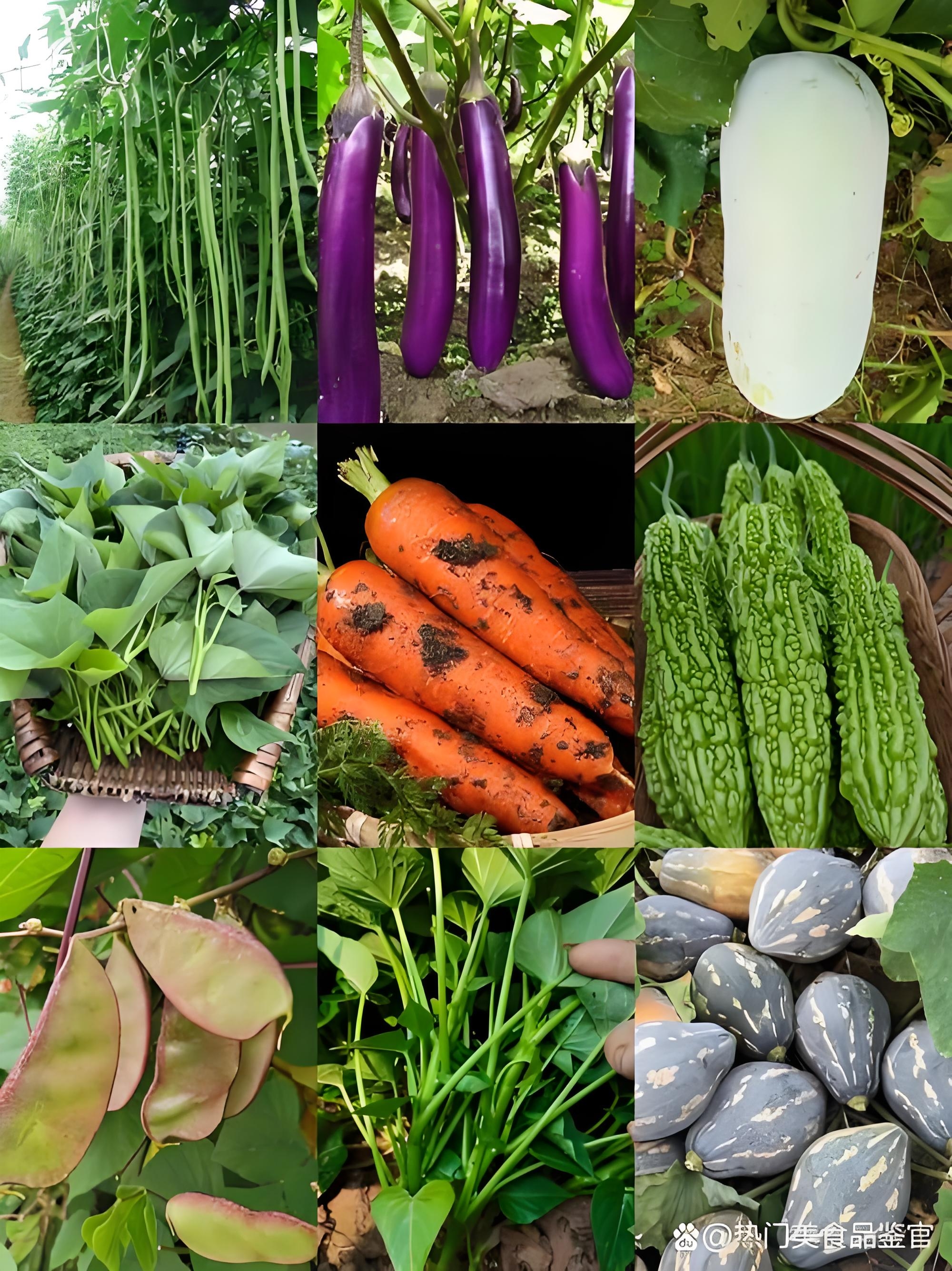 广西博白特色农产品新鲜