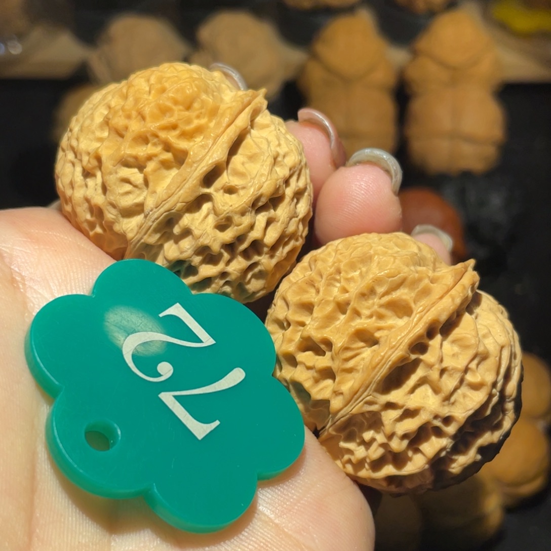 珊瑚元宝38尺寸核桃