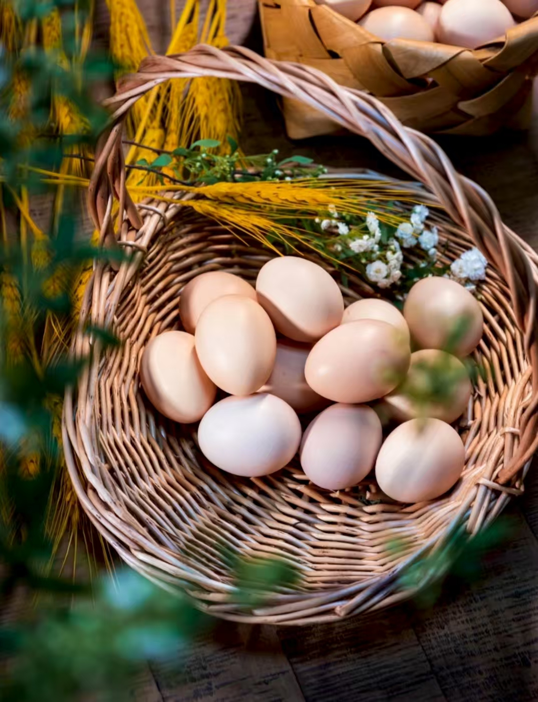 【拍30枚发50枚】初生蛋.开窝蛋