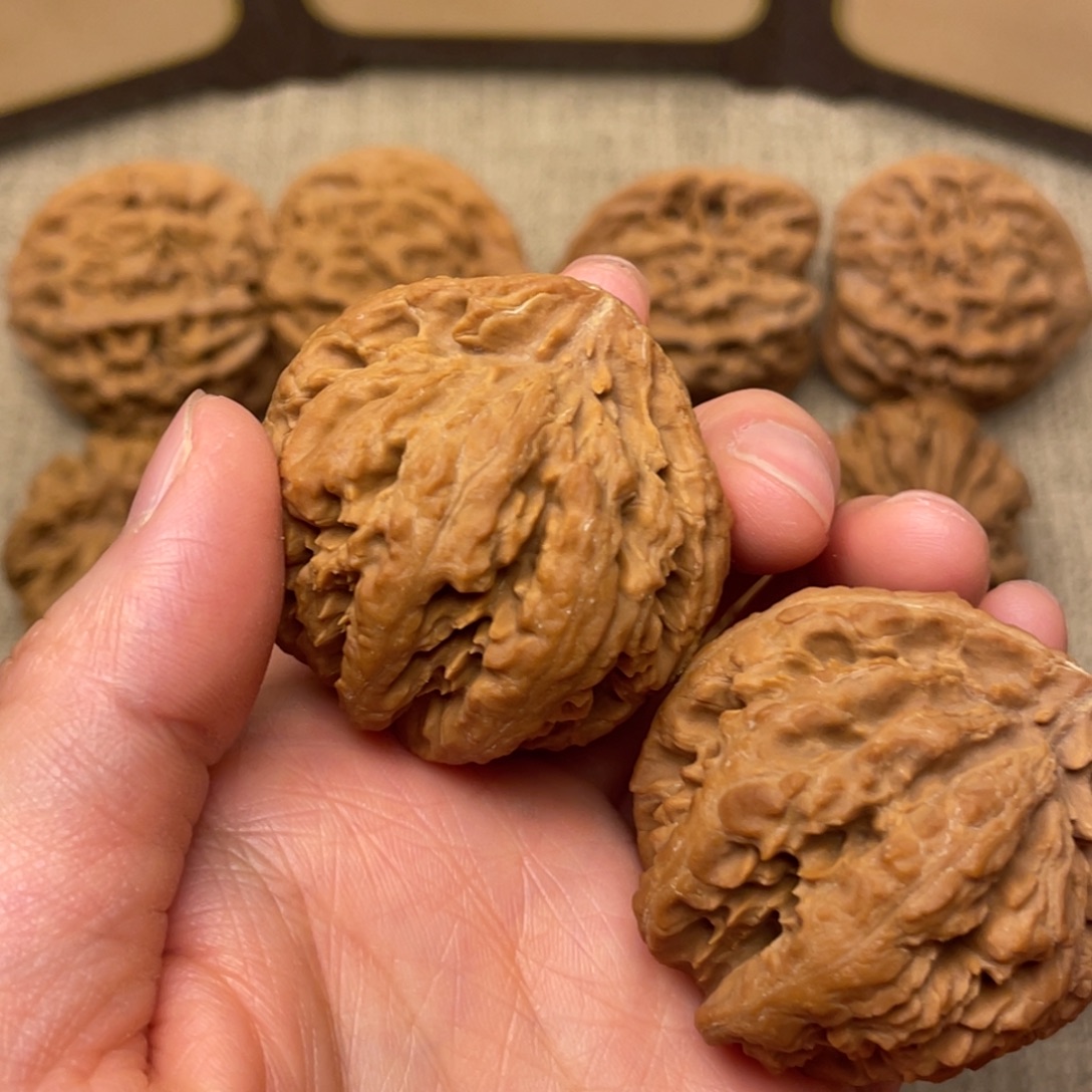 用***1核桃秦岭核桃30号